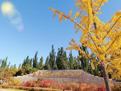 -永定河休闲森林公园