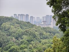-老君山