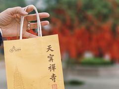 -常州天宁禅寺