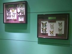 -上海昆虫博物馆