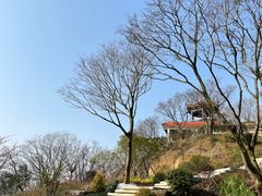 -青龙山公园