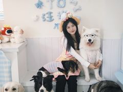 -汪说·狗咖·拼豆·宠物周边DIY(旺城大厦店)