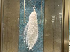 -孔雀云贵川·融合菜(长宁来福士店)