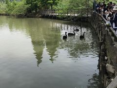 -溱湖国家湿地公园