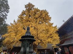 -红螺寺