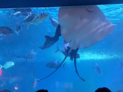 -常州海昌海洋探索馆