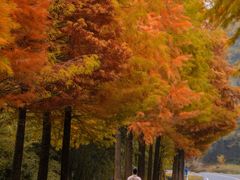 -南京市无想山景区