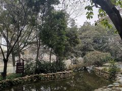 -成都市活水公园