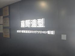 点击看大图 -藤野造型