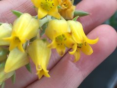 -南通洲际绿博园