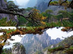 -黄山风景区