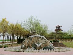 -南大港湿地风景区