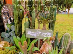 -莲花山公园