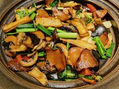 爆炒黑牛肝菌-云海肴·汽锅鸡·云南菜(美罗城店)