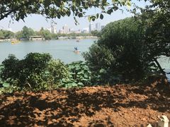 -甘棠公园