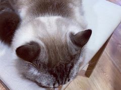 -白兔子密室(长寿路店)