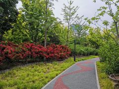-莲花池公园