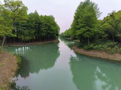 -贡湖湾湿地公园