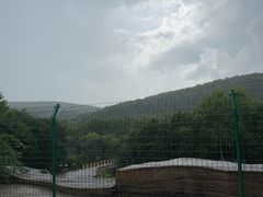 -茅兰沟国家森林公园