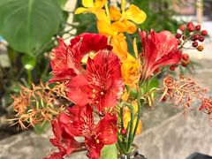 -太湖饭店玉兰厅(自助餐厅)