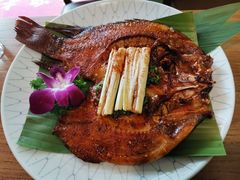 -紫滇源云南生态菜(丹凤街店)