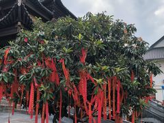-长春观