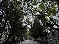 -北戴河东海水浴场