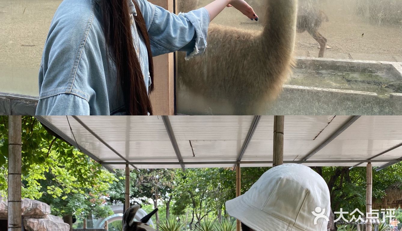 广州·越秀｜广州动物园🦍门票20元🦍
