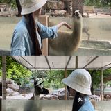 广州·越秀｜广州动物园🦍门票20元🦍