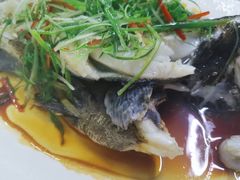 清蒸石斑鱼-巽寮印象美食部落餐厅·海鲜·地方特色菜(惠州体验店)