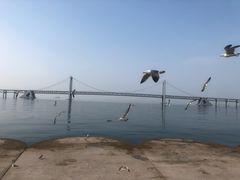 -星海广场
