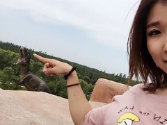 -嘉荫恐龙国家地质公园