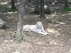 -常州淹城野生动物世界
