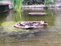 -重庆园博园