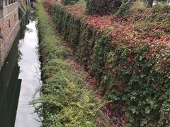 -卧龙堡客栈·中餐厅(古北水镇店)