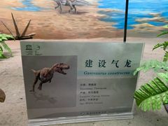 -延庆地质公园博物馆