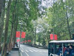 -青城山