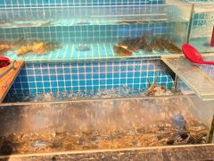 -焰江山海鲜牛排烤肉自助(锦华万达二星店)