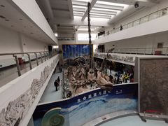 -中国地质大学逸夫博物馆