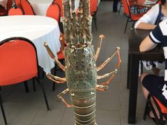 -真浪大家乐海鲜餐馆