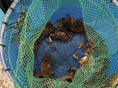 -七的湖·江南蟹舫·阳澄湖农家菜(蟹舫苑店)