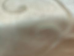 -南沙辉记烧鸡·荔枝木炭火吊烧(旧镇店)