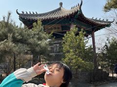 -爱新觉罗皇家博物院