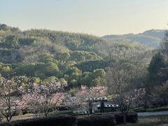 -宁波野生动物园