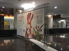 -宁波大剧院