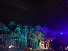 -三亚红色娘子军演艺公园景区