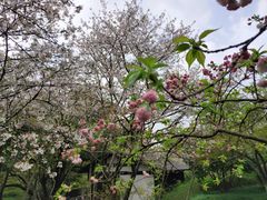 -中国茶叶博物馆(双峰馆区)
