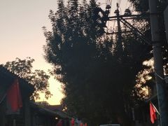 -玫瑰红烤羊排(北新桥三条店)