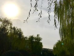 -西安国际创新人才交流中心•药浴温泉