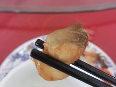 -桃园酒店